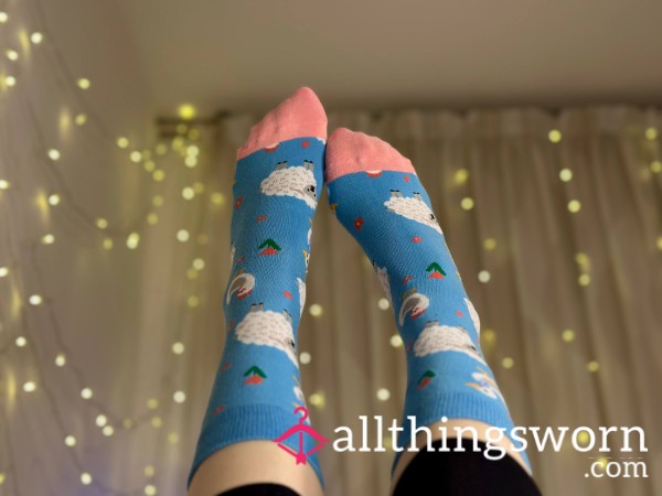 Blue Long Socks With Animals💙