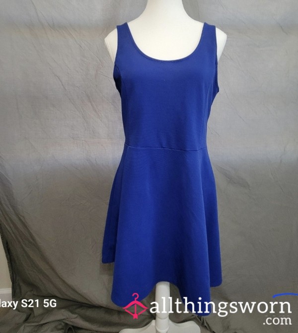 Blue Sk*ter Dress