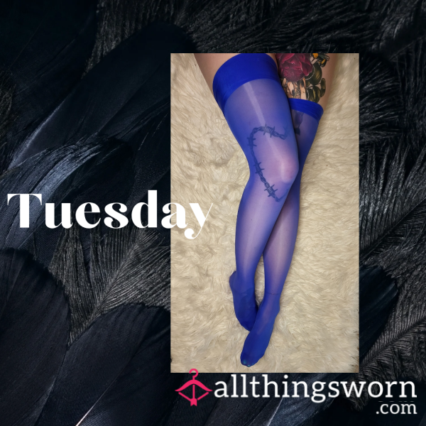 Blue Thigh High Stockings