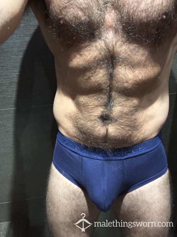Blue Todd Sanfield Briefs Medium
