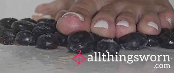 Blueberries Squish