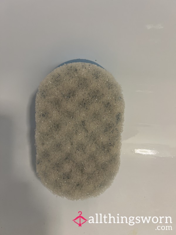 Body Wash Sponge