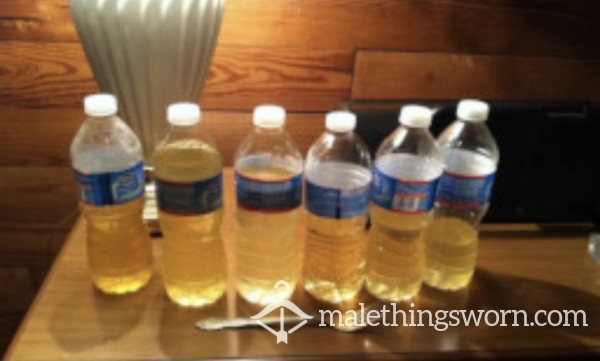 Bottles Of Pi*s