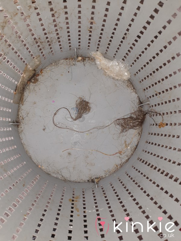 Bottom Of The Bin Scraps