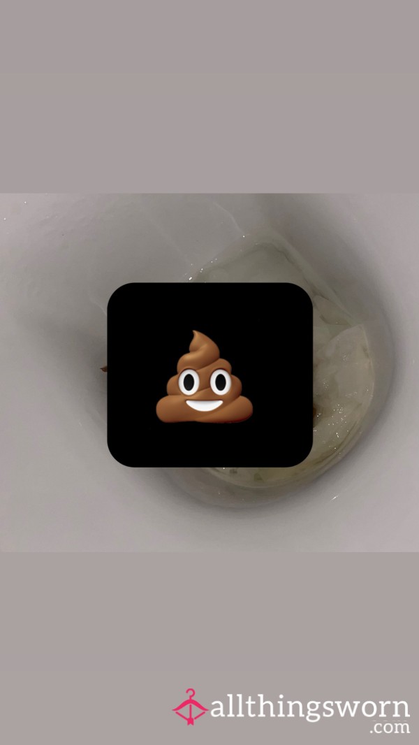 Bowel Movement
