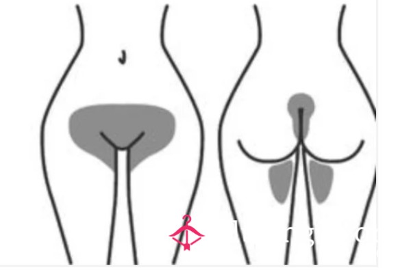 BRAZILIAN WAX STRIP AND PHOTO SET