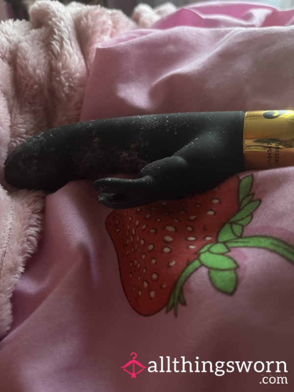 Breaking In My New Rabbit