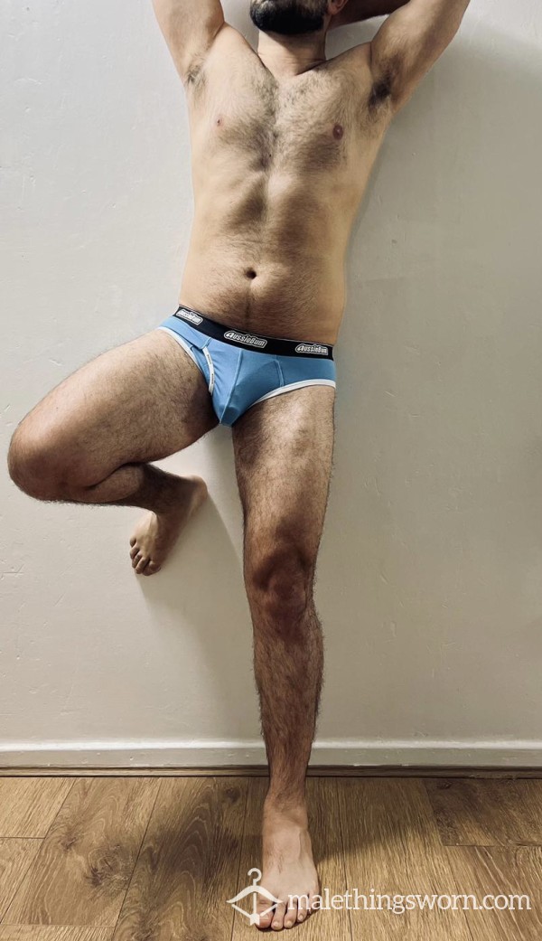 Briefs