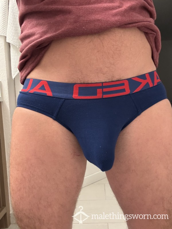Briefs