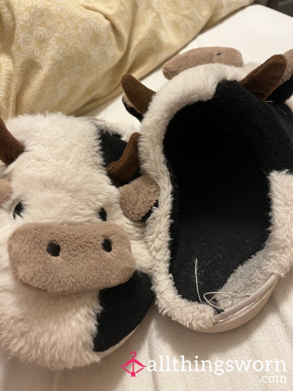 Old Slippers