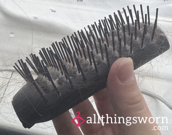 Broken Hairbrush- Will Be Filled With My Beautiful Brunette Hair