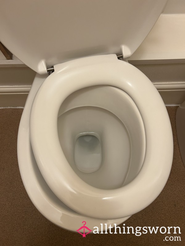 Broken Work Toilet - Had Me On My A**!