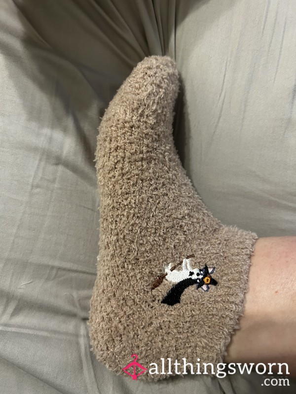 Brown Halloween Dog Socks