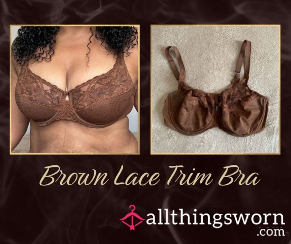 Well Worn Brown Lace Trim Bra