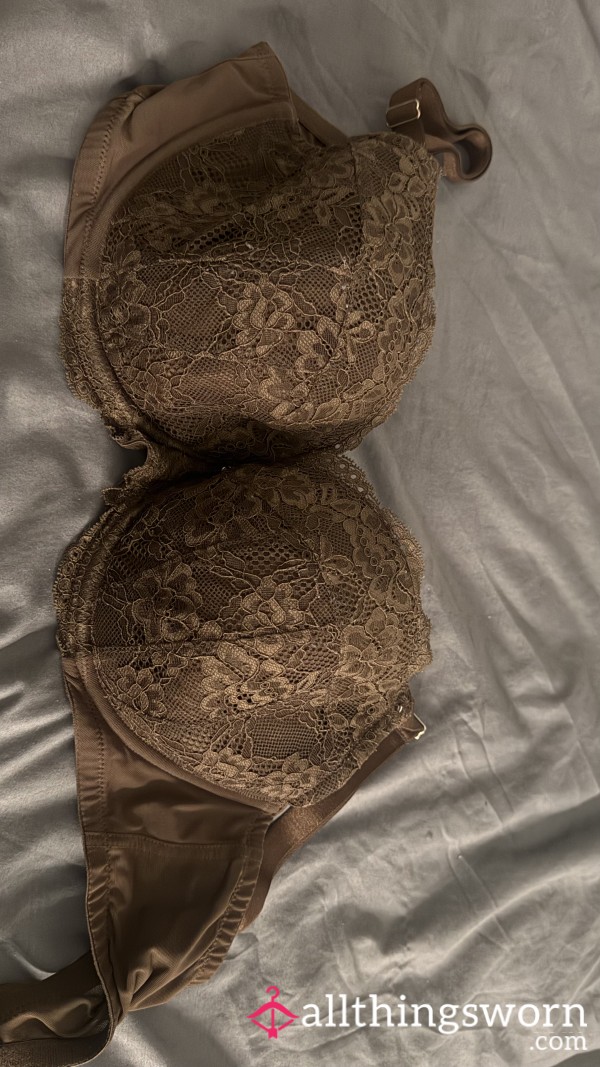Brown Laced  Pattern Bra