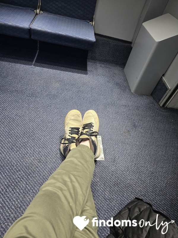 Brown Nikeys On A Train