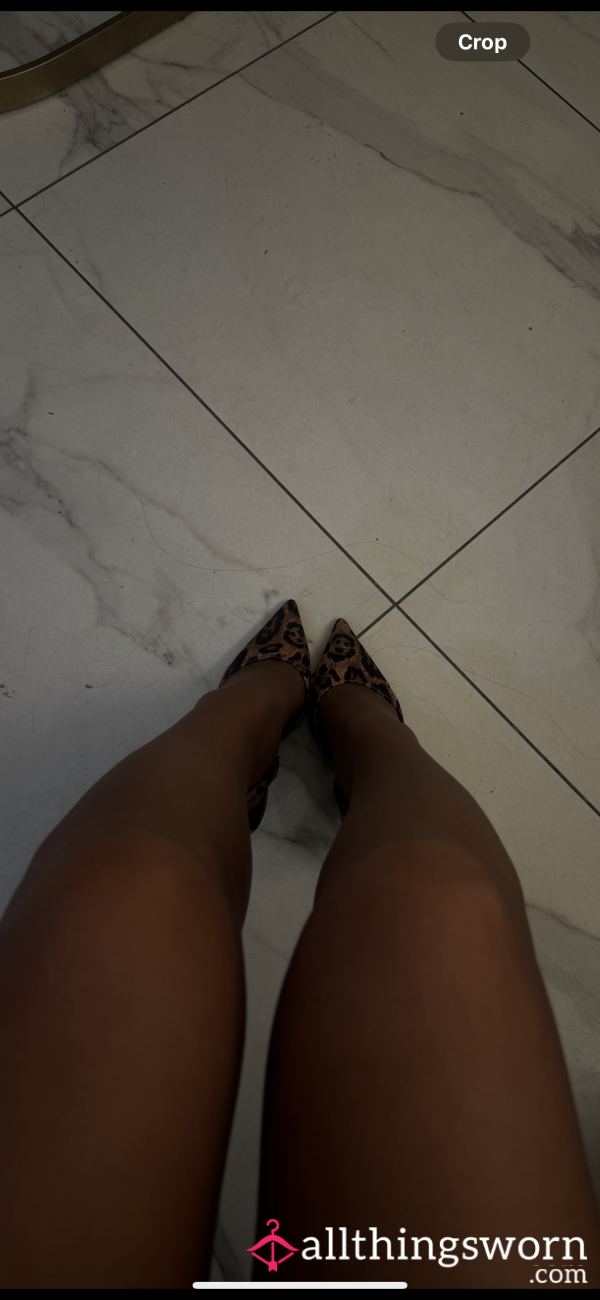 Brown See Through Tights