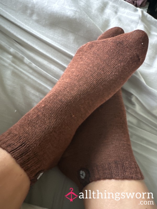 Brown Socks 40 Hours