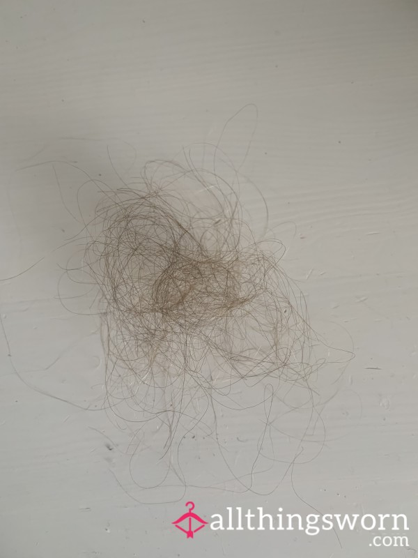 Brushed Hair