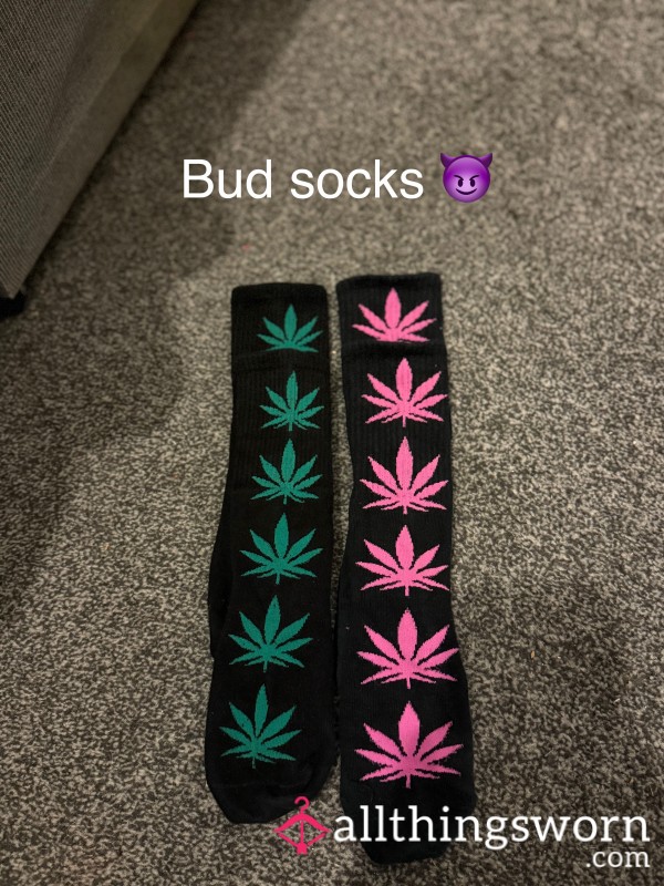 Bud Socks