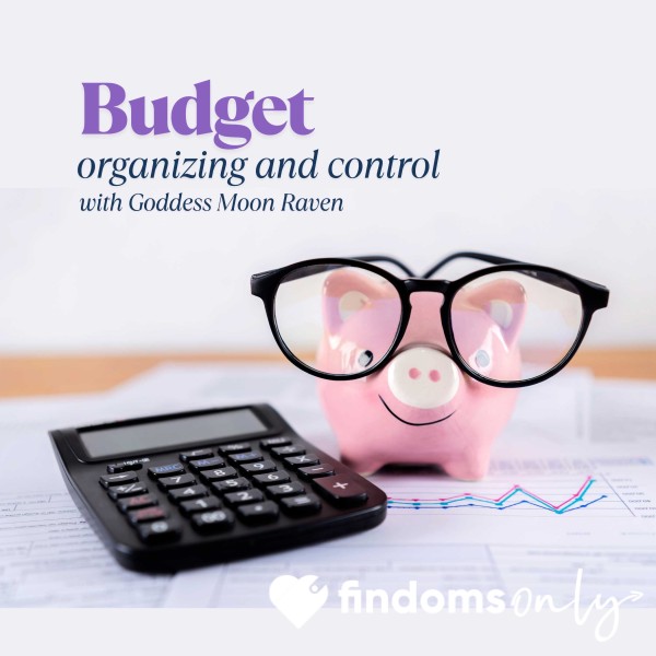 Budget Organizing And Control Session