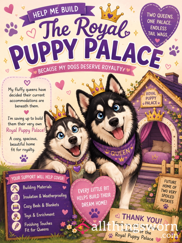 👑🐾 Building My Dogs A Palace 🐾👑