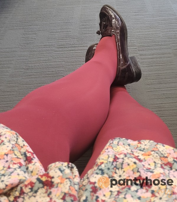 Burgandy Pantyhose