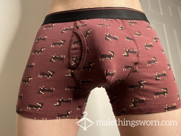 Burgundy Dachshund Boxers With Hole