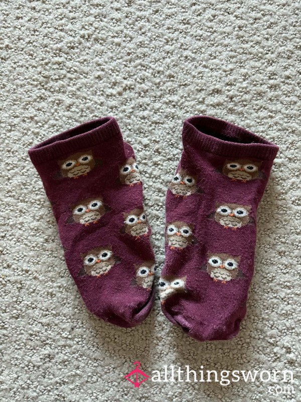 Burgundy Owl Ankle Socks 🦉