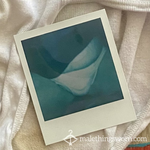 Burly Bear Polaroid