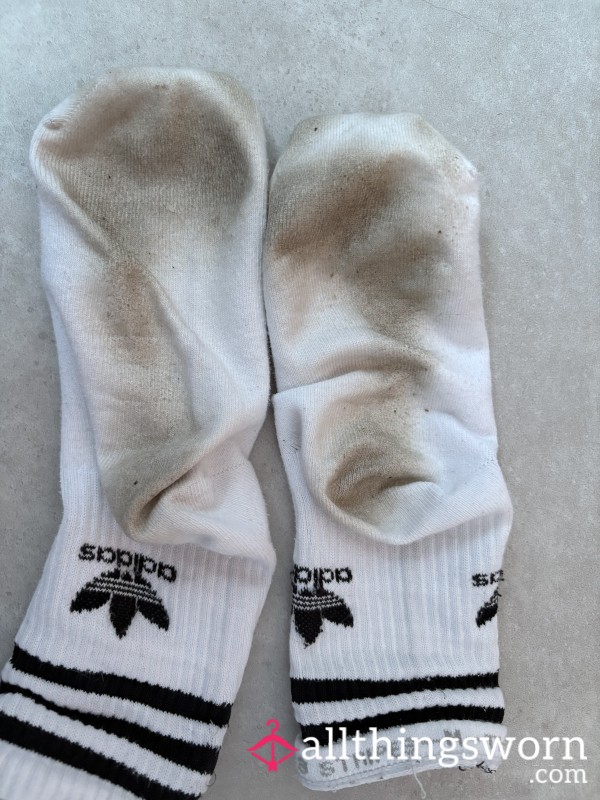 Busy Day In These Socks!