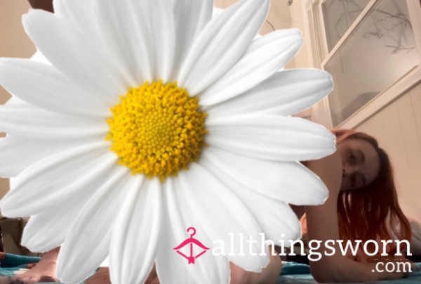 Bu*t Plug Insertion By My Man ✨