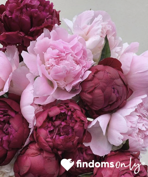 Buy Me Bouquet Of Flowers