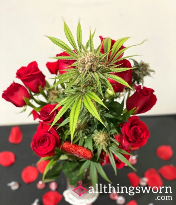 Buy Me Flowers 😶‍🌫️ 💚💨