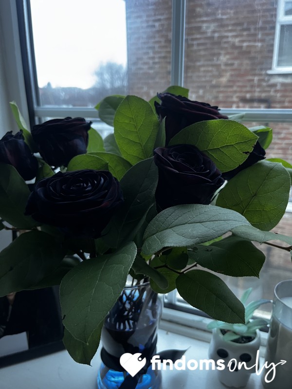 Buy Me Flowers 🌹