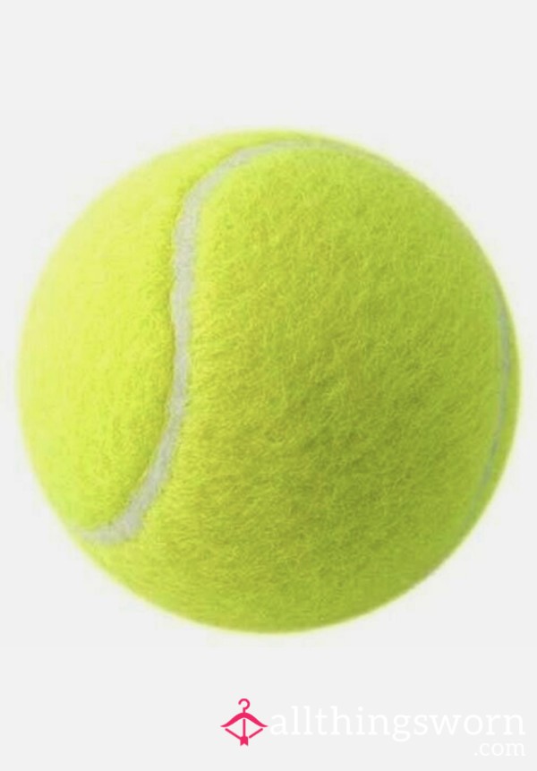 Buy My Dog A Tennis Ball - Good Boy 🐶❤️