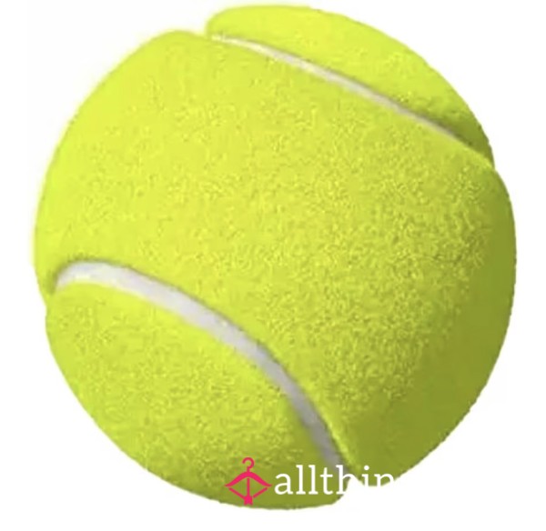 Buy My Dog A Tennis Ball - Good Boy 🥰