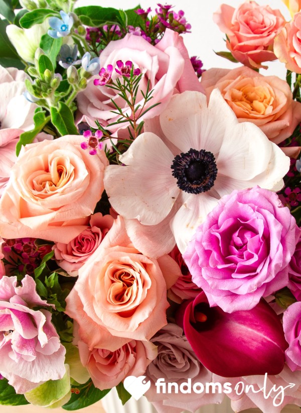 Buy My Flowers