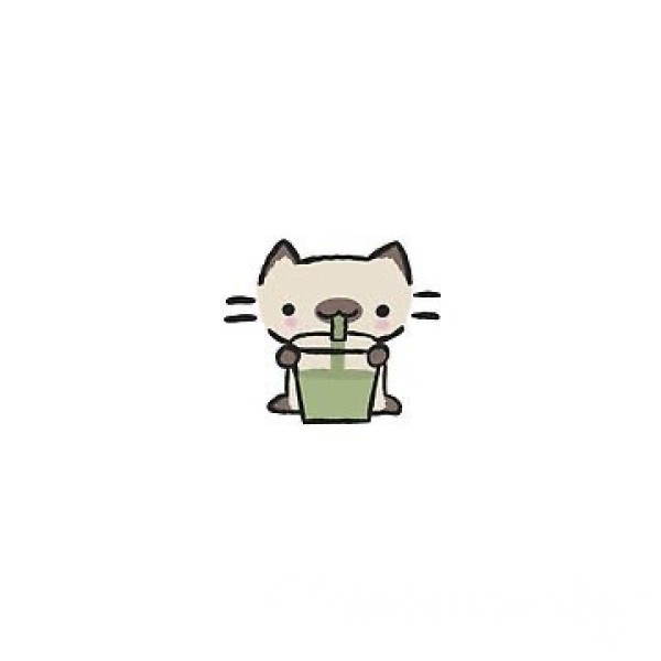Buy My Matcha