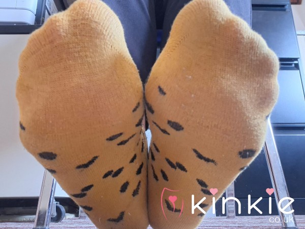 Mistress Socks .....pathetic Pig Stuff Them In Your Mouth Then Thank Her!!!