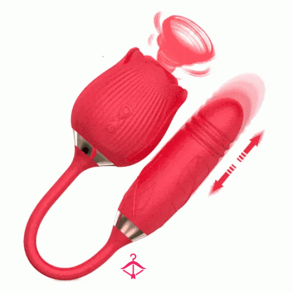 Buy My Used Rose Toy