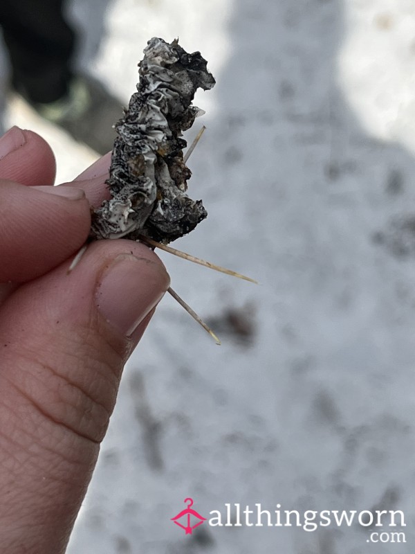 Cactus Needle Got Stuck In My Foot!