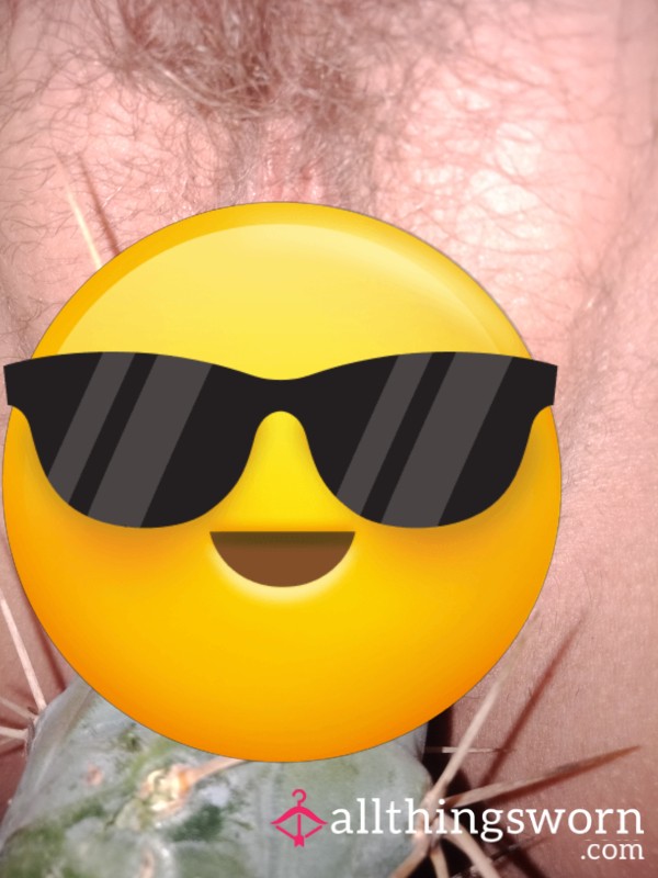 Cactus Pu**y Insertion