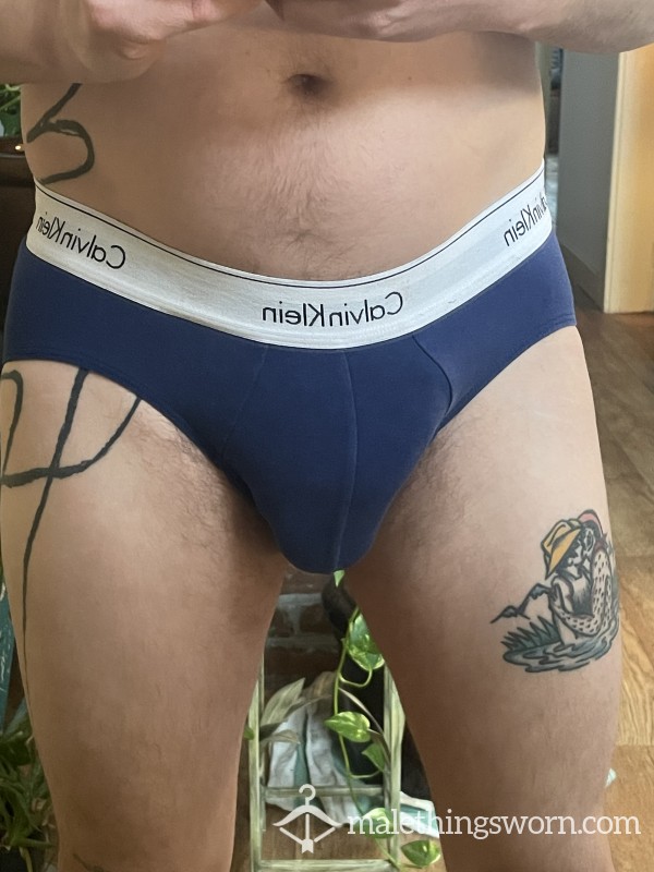 Calvin Klein Blue And White Farmer Worn Briefs Size Small