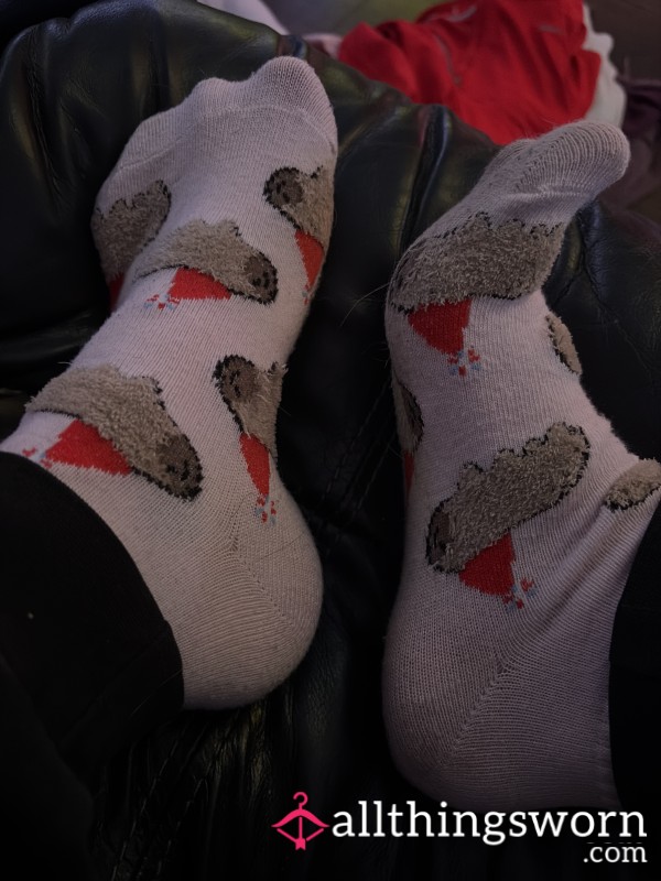 Capybara Socks❤️