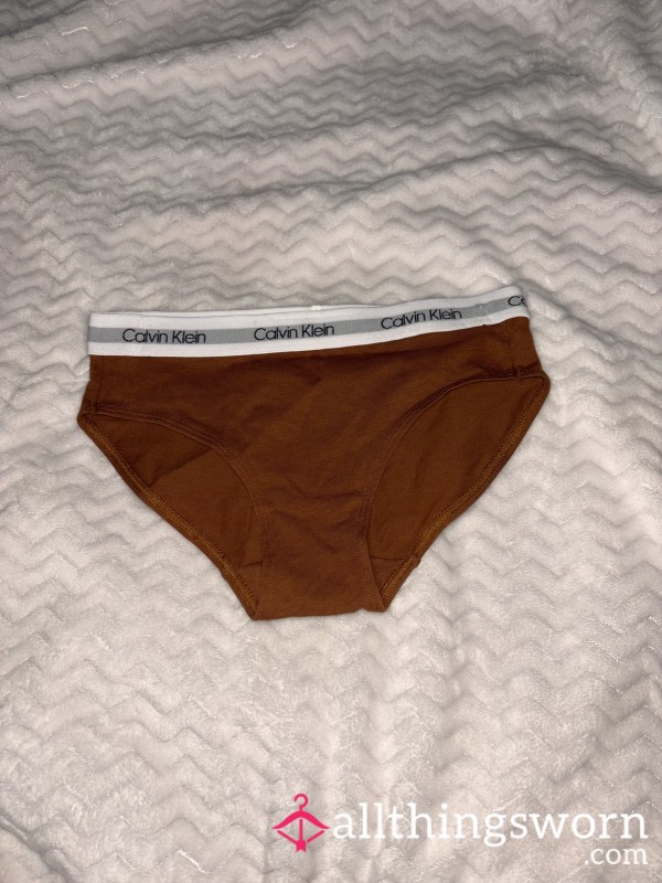 Caramel Brown Calvin Klein Bikini Panties