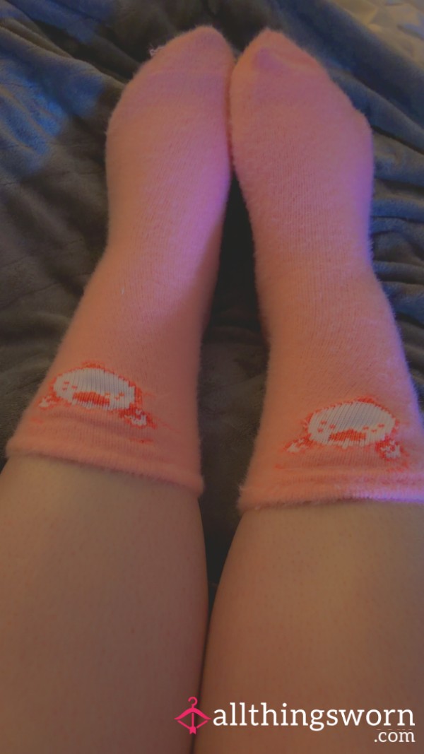 Care Bear Fuzzy Socks