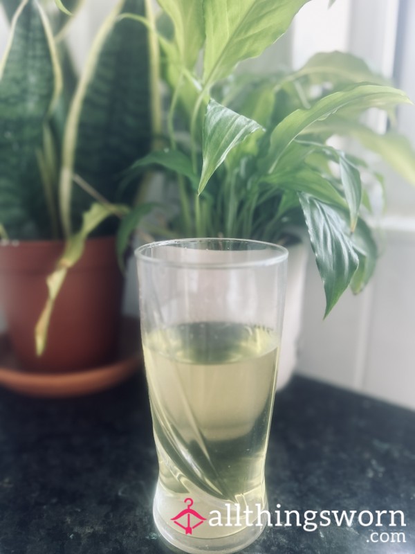 🍋Watch Me Pour You A Pint From My 🐱