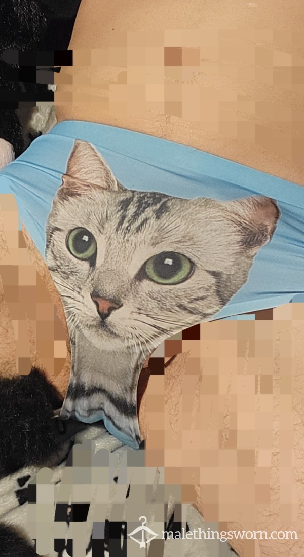Cat Face Brief