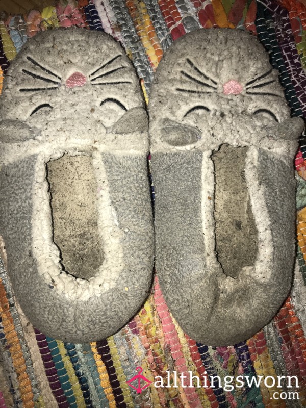 Cat Slippers Very Dirty